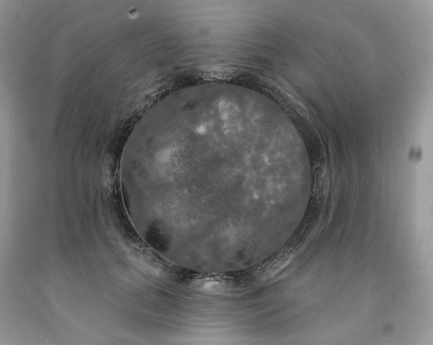 X0000091460655200709061757