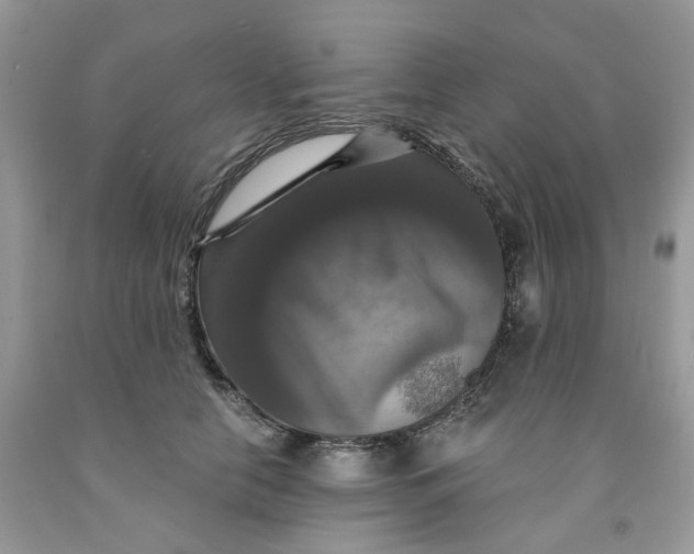 X0000091460658200709061757