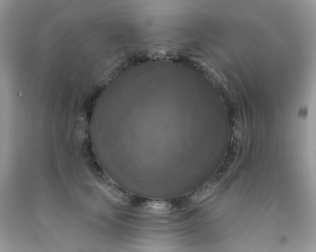 X0000091460659200709061757