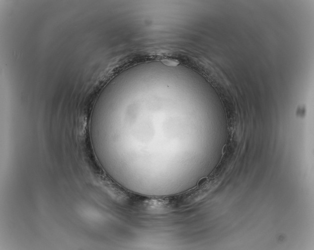 X0000091460660200709061757