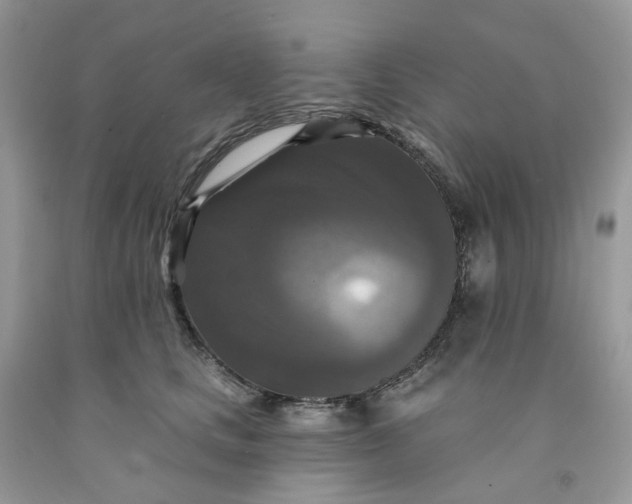 X0000091460661200709061757