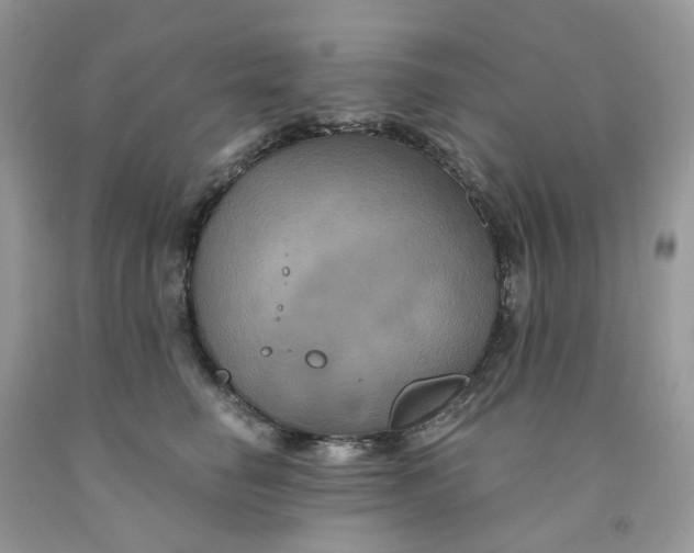 X0000091460662200709061757