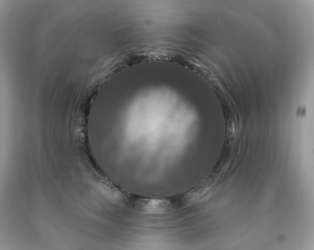 X0000091460663200709061757