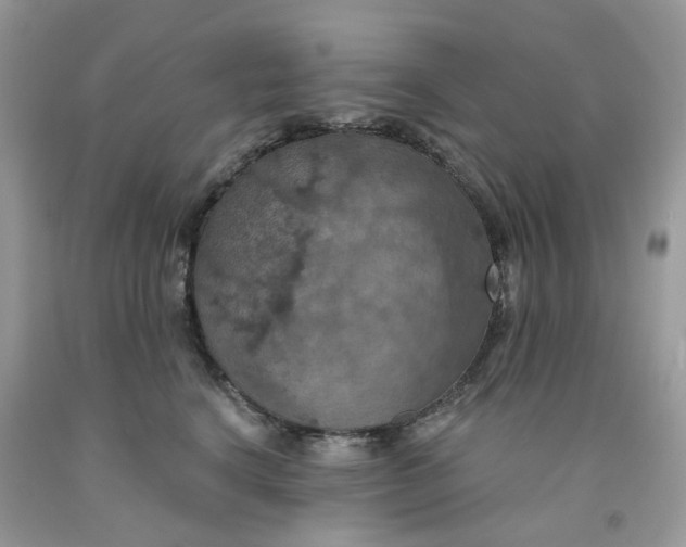 X0000091460664200709061757