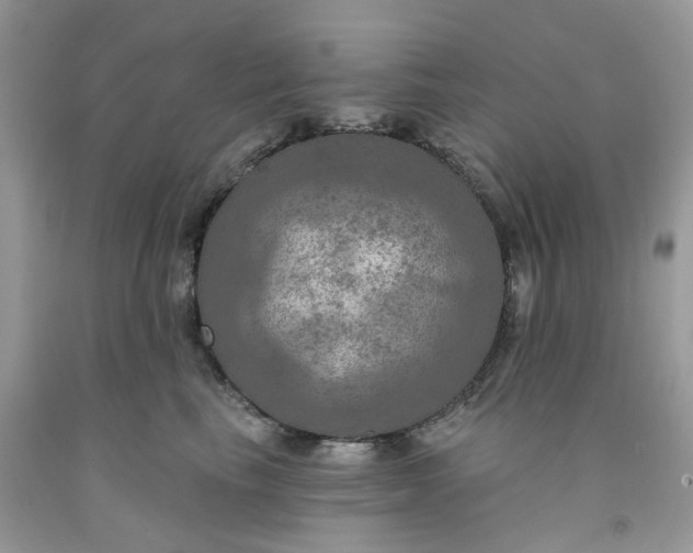 X0000091460665200709061757