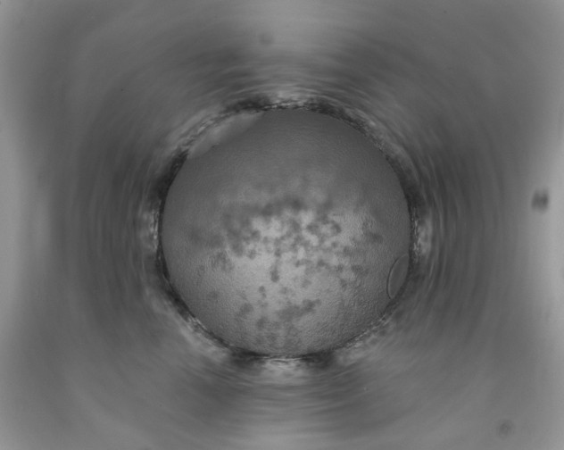 X0000091460666200709061757