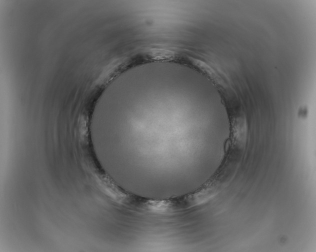 X0000091460667200709061757