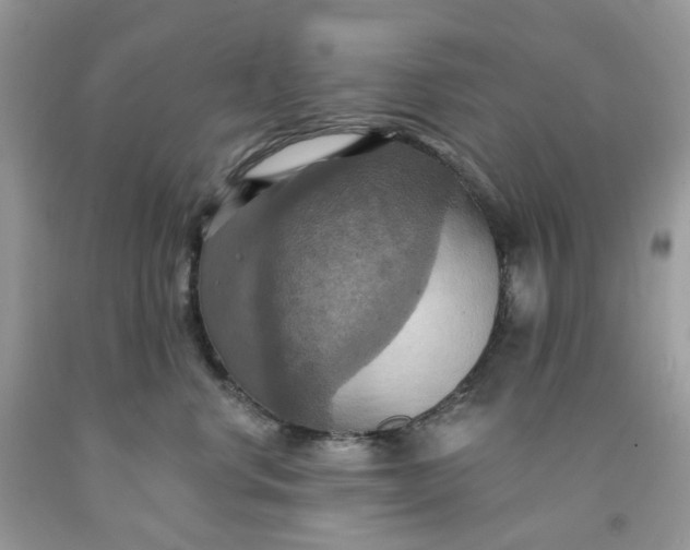 X0000091460668200709061757