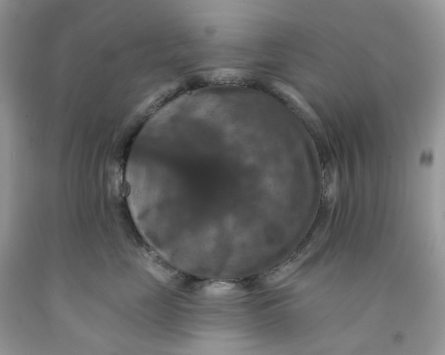 X0000091460669200709061757