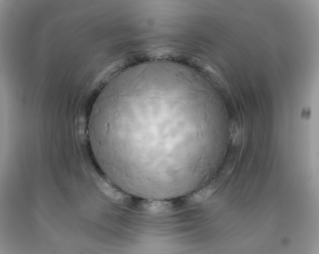 X0000091460670200709061757