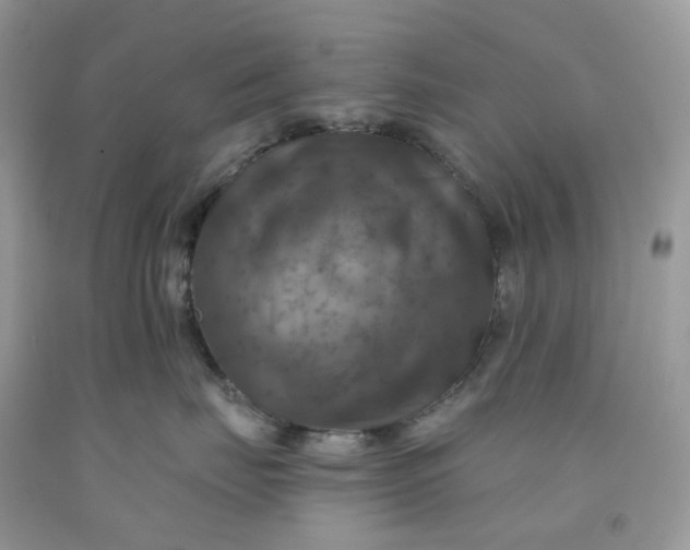 X0000091460671200709061757