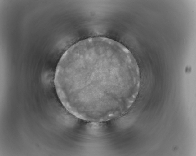 X0000091460672200709061757