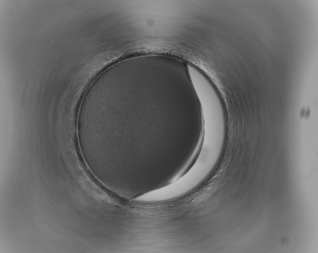 X0000091460673200709061757