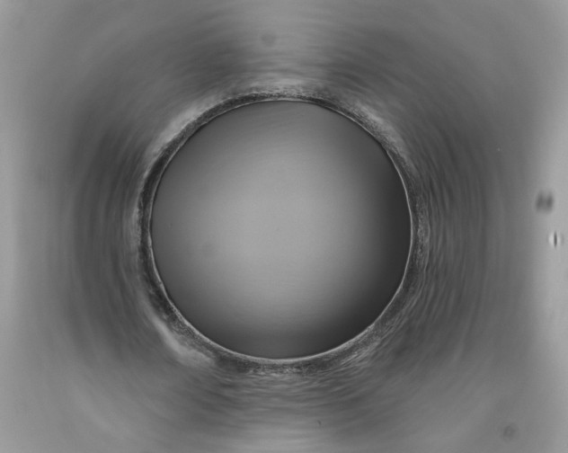 X0000091460674200709061757