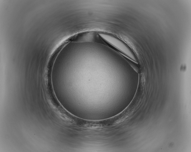 X0000091460676200709061757