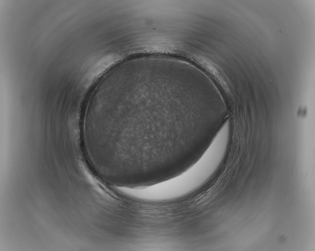 X0000091460677200709061757