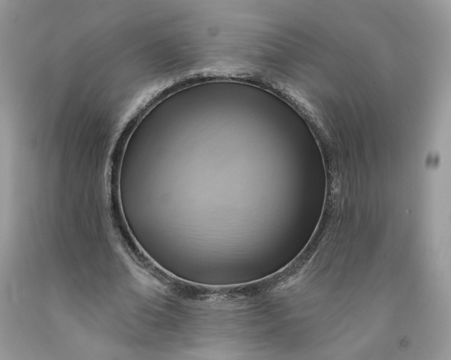 X0000091460678200709061757