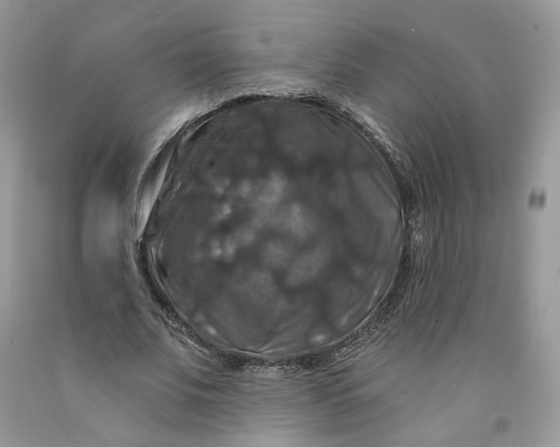 X0000091460679200709061757