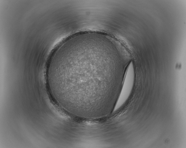 X0000091460680200709061757