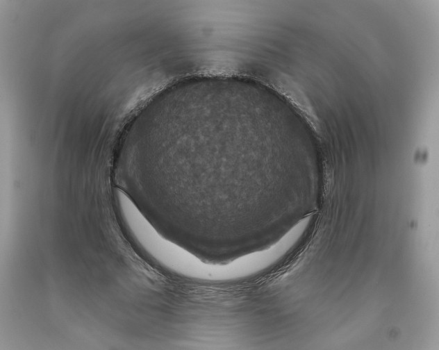 X0000091460681200709061757