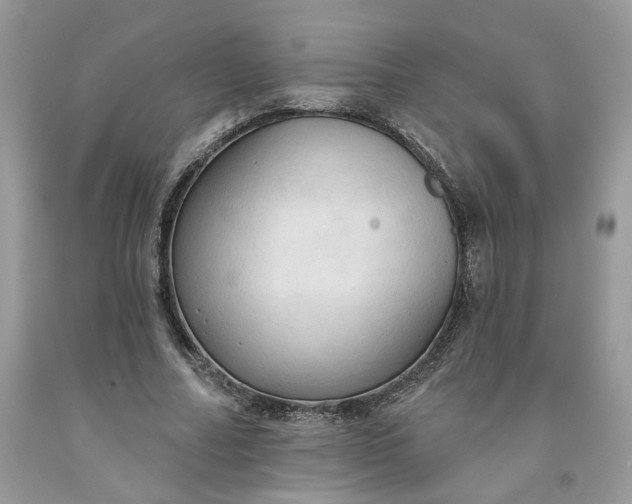 X0000091460682200709061757