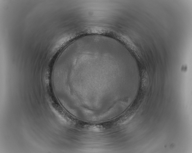 X0000091460683200709061757