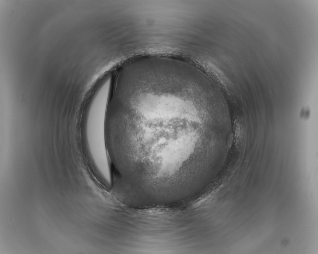 X0000091460684200709061757