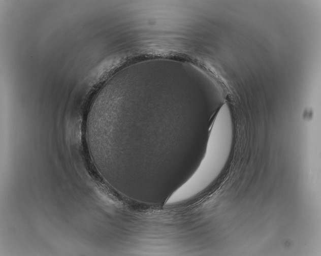 X0000091460685200709061757