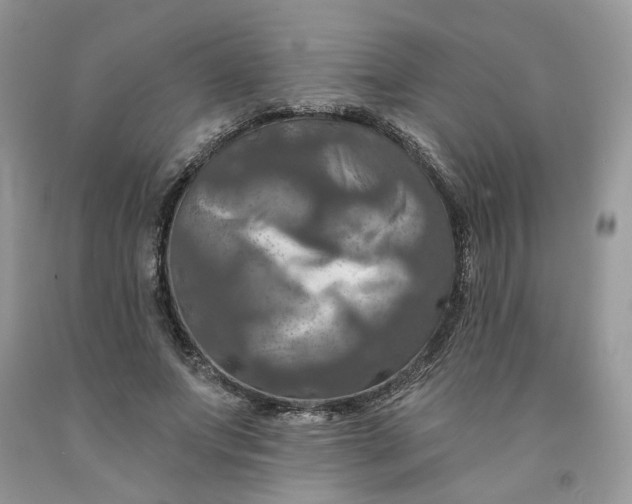 X0000091460687200709061757