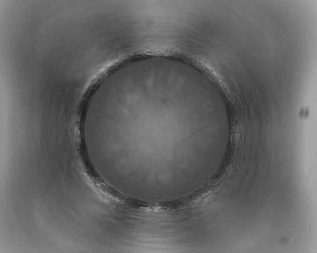 X0000091460688200709061757