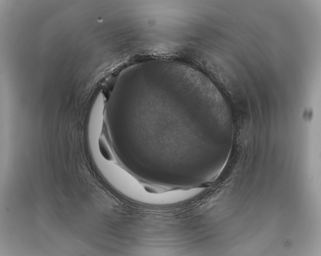 X0000091460689200709061757