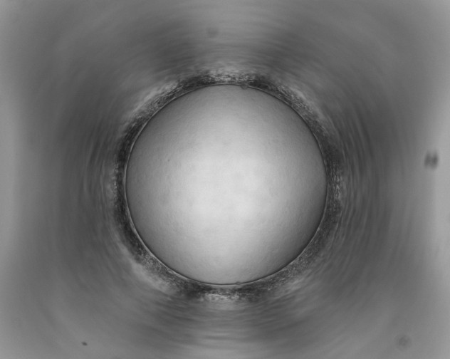 X0000091460690200709061757