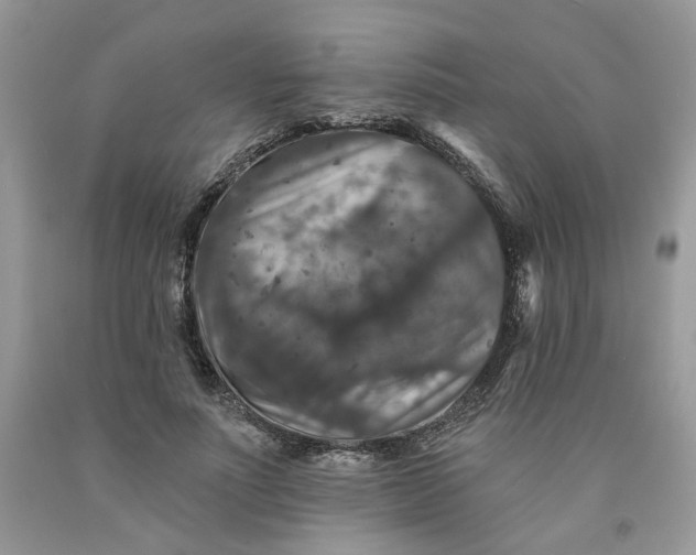 X0000091460691200709061757