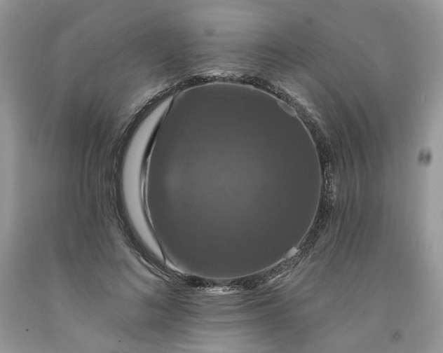 X0000091460692200709061757