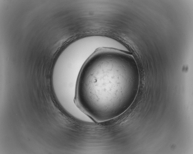 X0000091460693200709061757