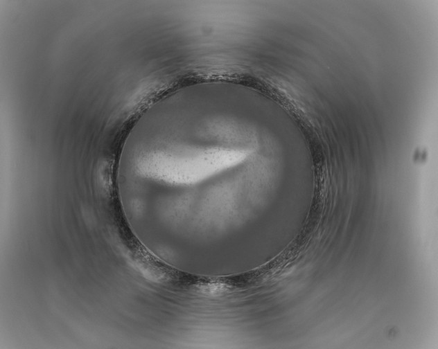 X0000091460695200709061757