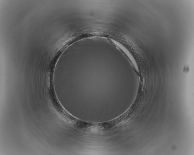 X0000091460696200709061757