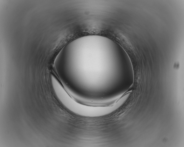 X0000091460697200709061756