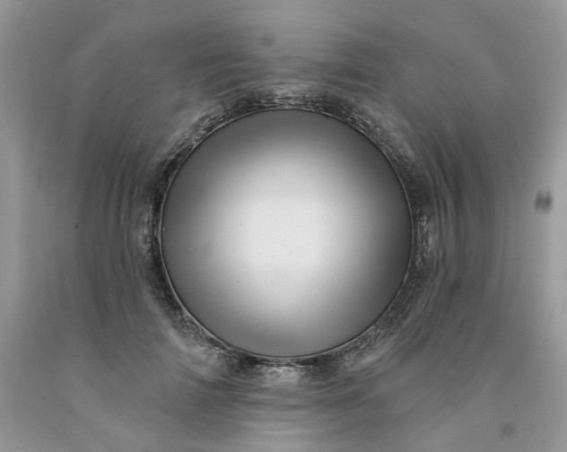 X0000091460698200709061756