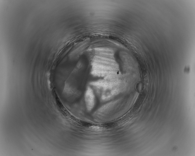 X0000091460699200709061756