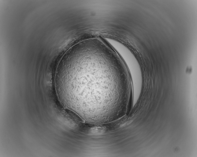 X0000091460700200709061756