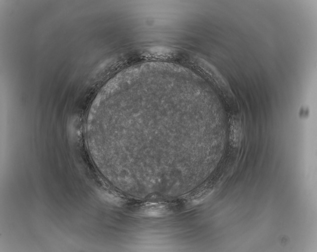 X0000091460701200709061756