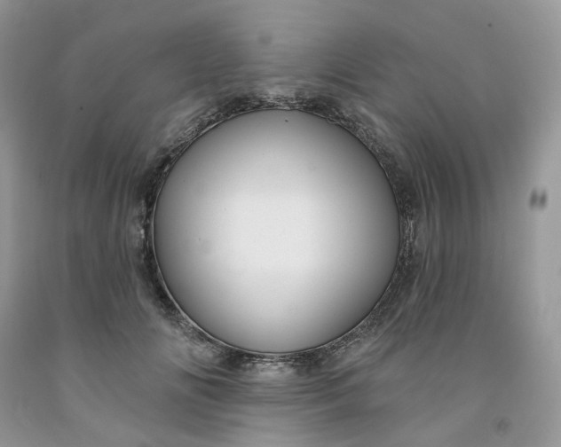 X0000091460702200709061756