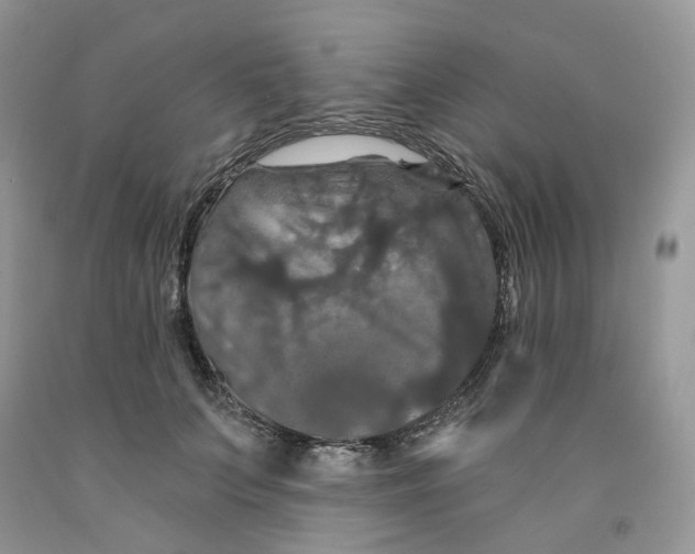 X0000091460703200709061756