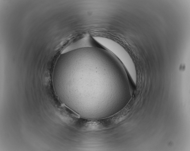 X0000091460704200709061756