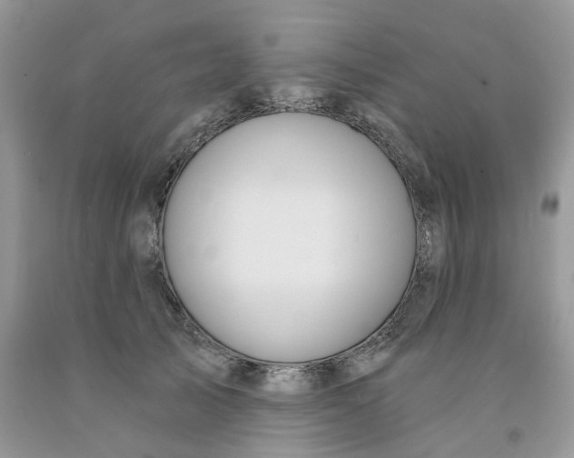 X0000091460705200709061756