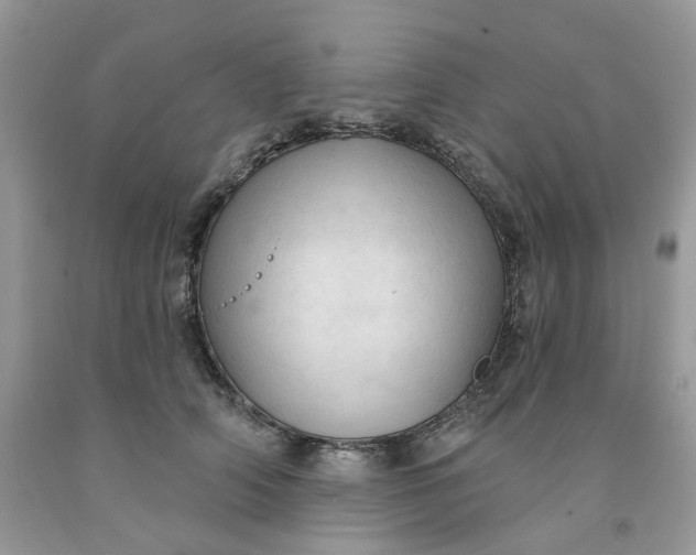 X0000091460706200709061756