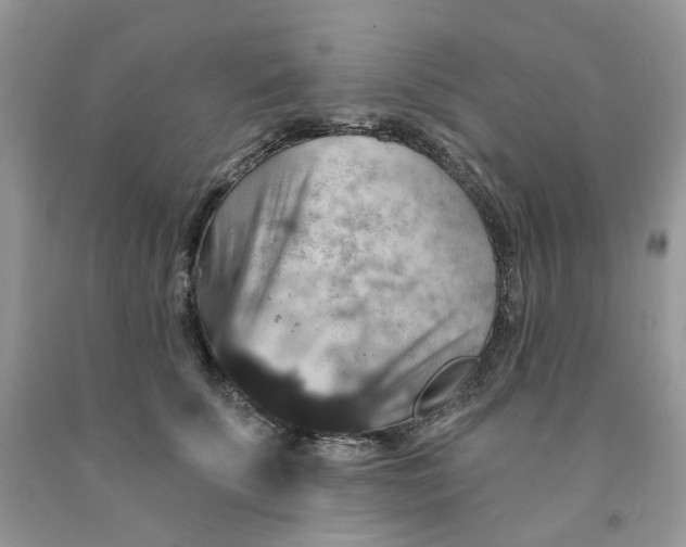 X0000091460707200709061756