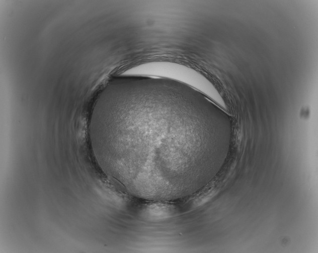 X0000091460708200709061756