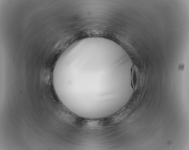 X0000091460709200709061756